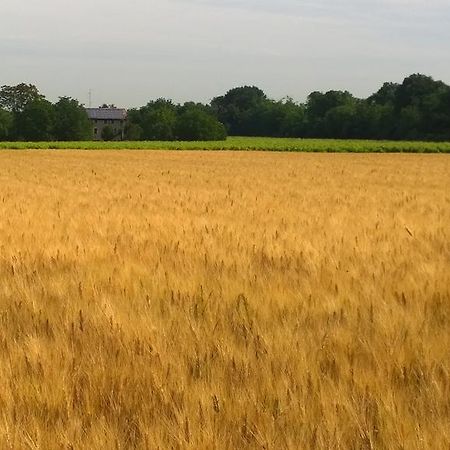 La Vigna Dei Peri Villa Quattro Castella Ngoại thất bức ảnh