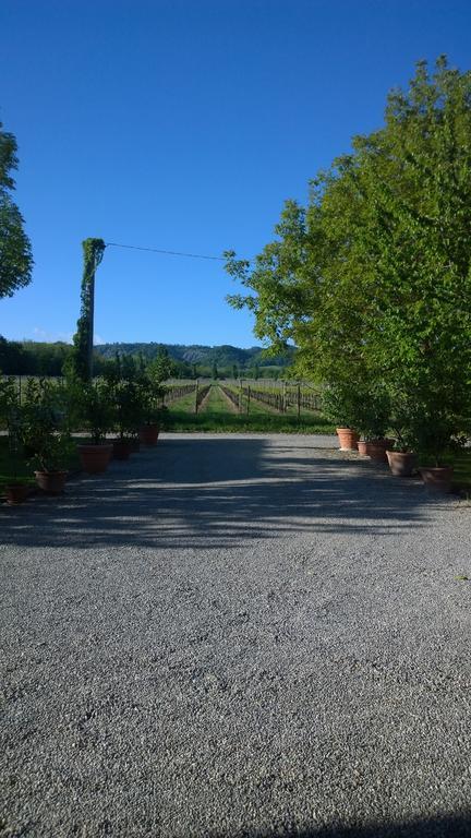La Vigna Dei Peri Villa Quattro Castella Ngoại thất bức ảnh